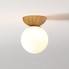Lampada a Sospensione in Vetro e Ferro Minimalista Moderna con 1 Luce per Soggiorno