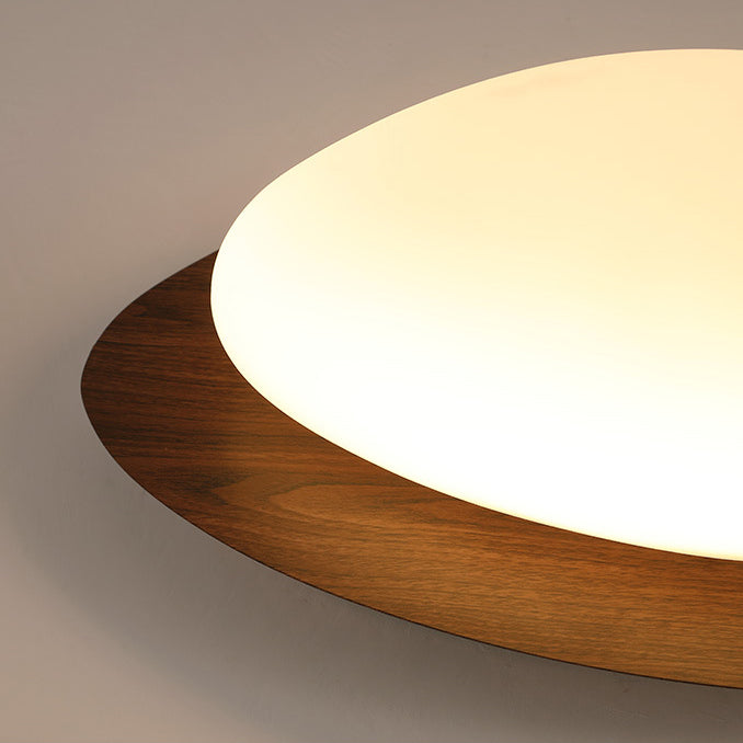 Lampada da soffitto a LED in ferro acrilico a forma di ciottolo scandinavo contemporaneo per camera da letto