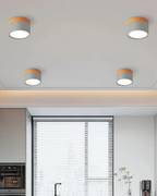 Lampada da soffitto Clairon