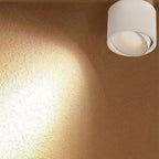 Faretto rotondo in alluminio minimalista moderno, regolabile, a LED, montato a soffitto per soggiorno