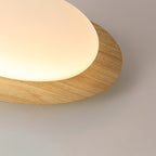 Lampada da soffitto a LED in ferro acrilico a forma di ciottolo scandinavo contemporaneo per camera da letto