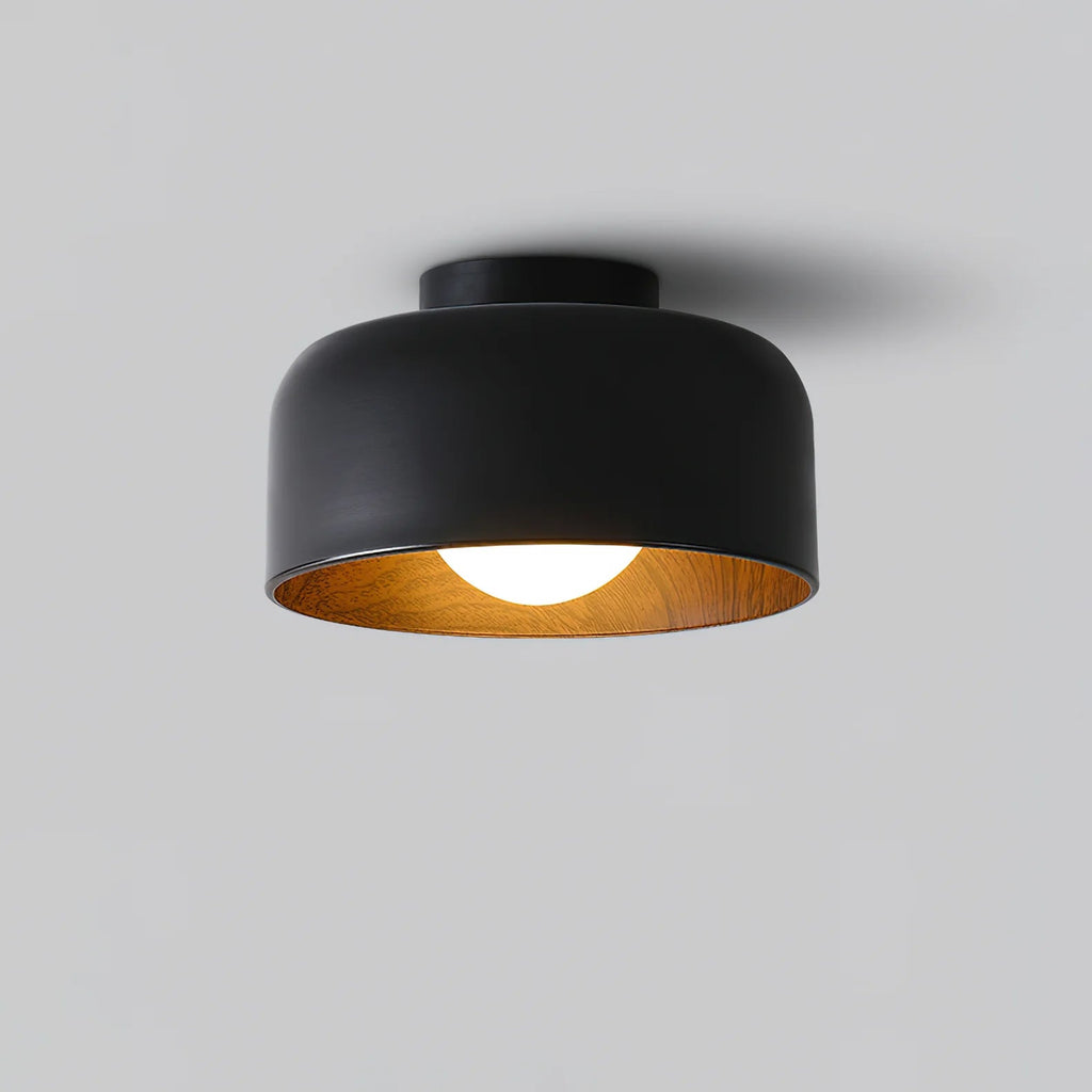 Lampada da soffitto in ferro a cupola semplice