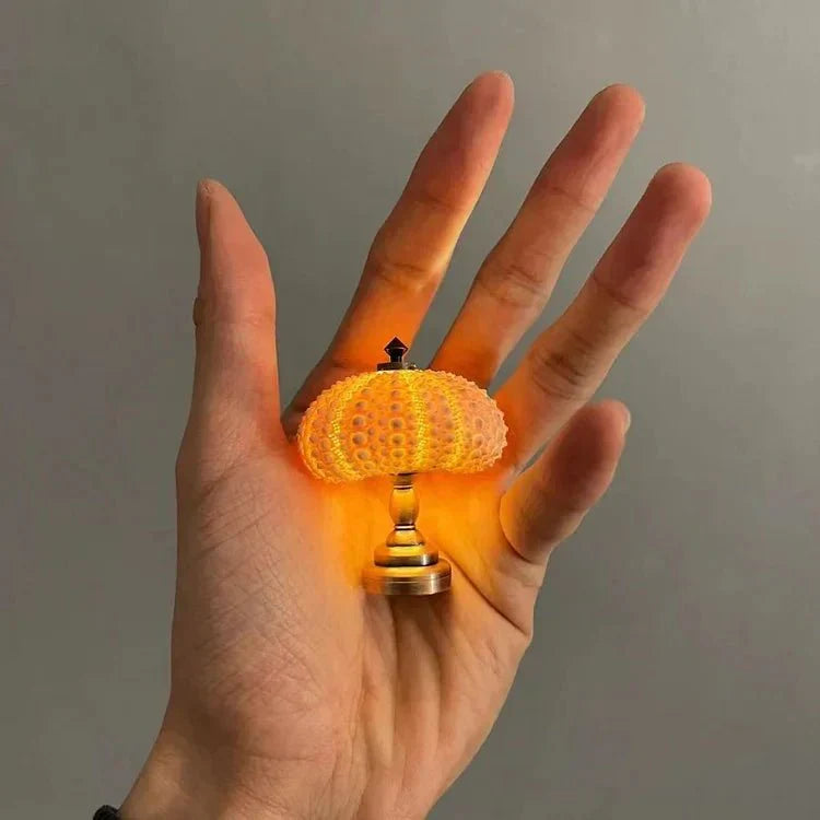 Lampada notturna fai-da-te a forma di riccio di mare