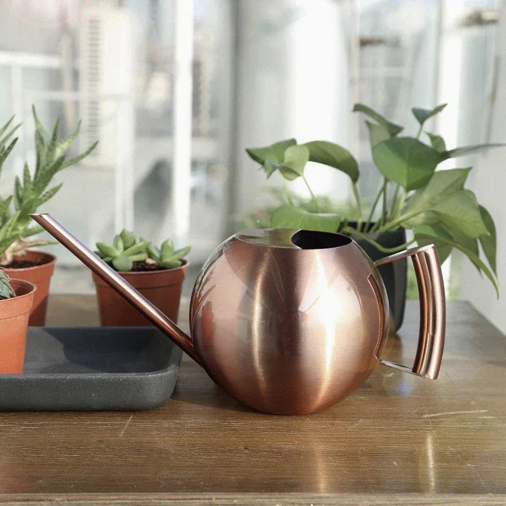 PlantFlow – Elegante annaffiatoio sferico snodato perfetto per piante delicate