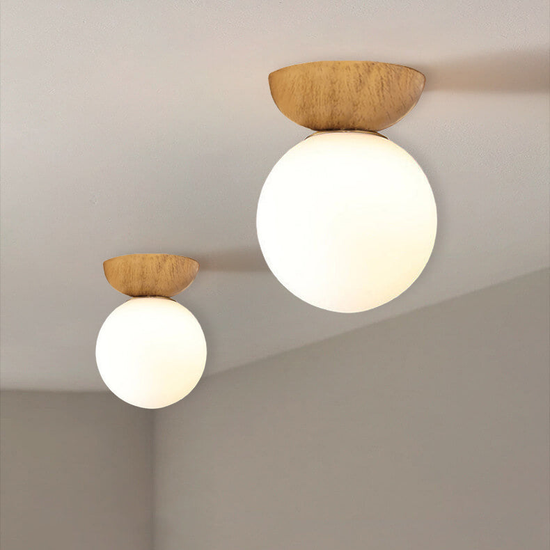 Lampada a Sospensione in Vetro e Ferro Minimalista Moderna con 1 Luce per Soggiorno