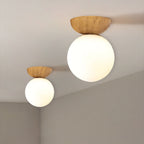 Lampada a Sospensione in Vetro e Ferro Minimalista Moderna con 1 Luce per Soggiorno