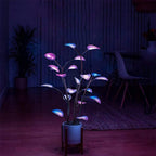 Frendorf | Pianta da interno a LED | Luce ambientale programmabile