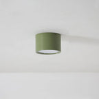 Lampada da Soffitto in Acrilico Rotonda alla Moda