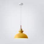 Lampadario Pendente Moderno in Legno di Quercia Nordico con Campana in Ferro per Soggiorno