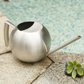PlantFlow – Elegante annaffiatoio sferico snodato perfetto per piante delicate