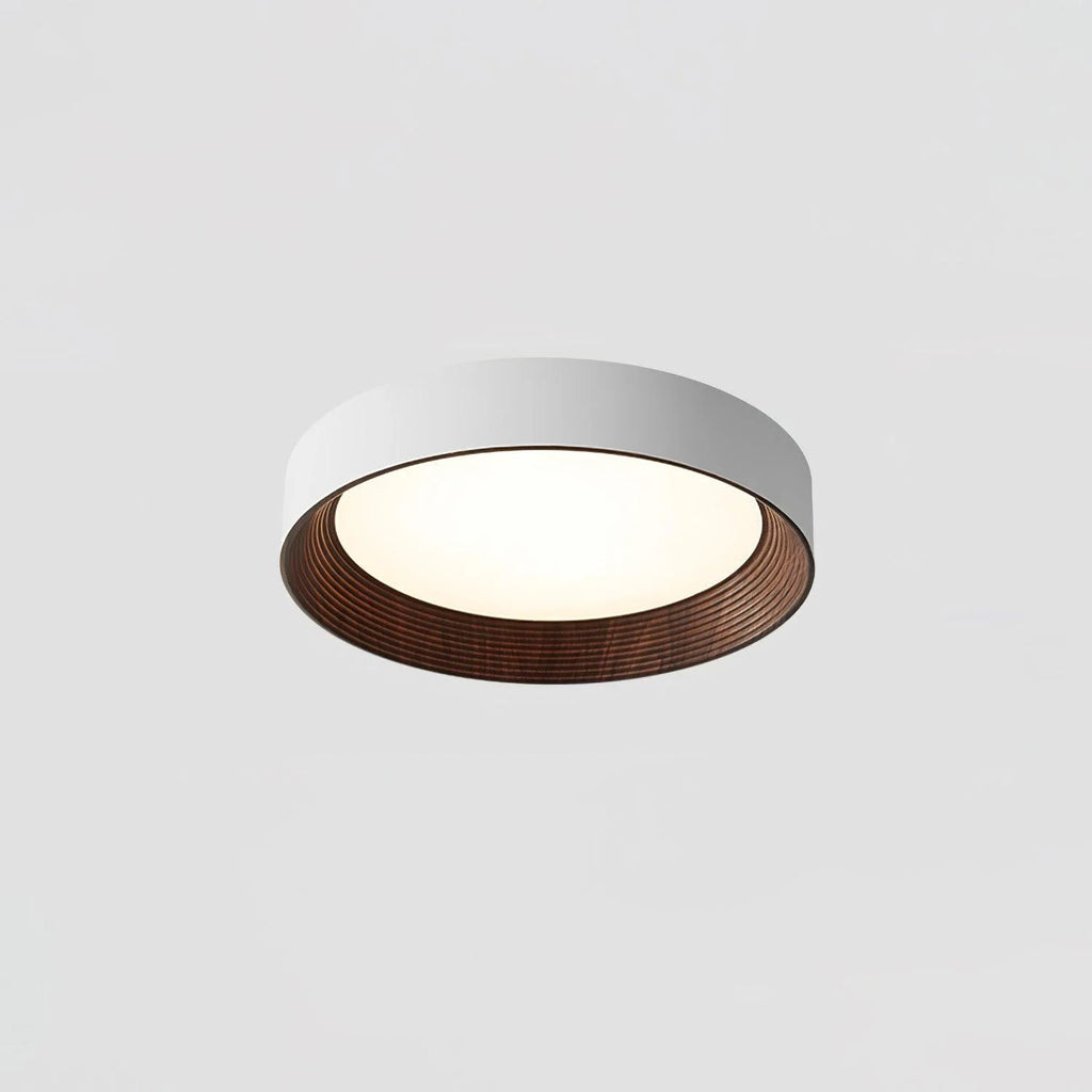 Lampada da Soffitto Circolare Acrilica di Tendenza