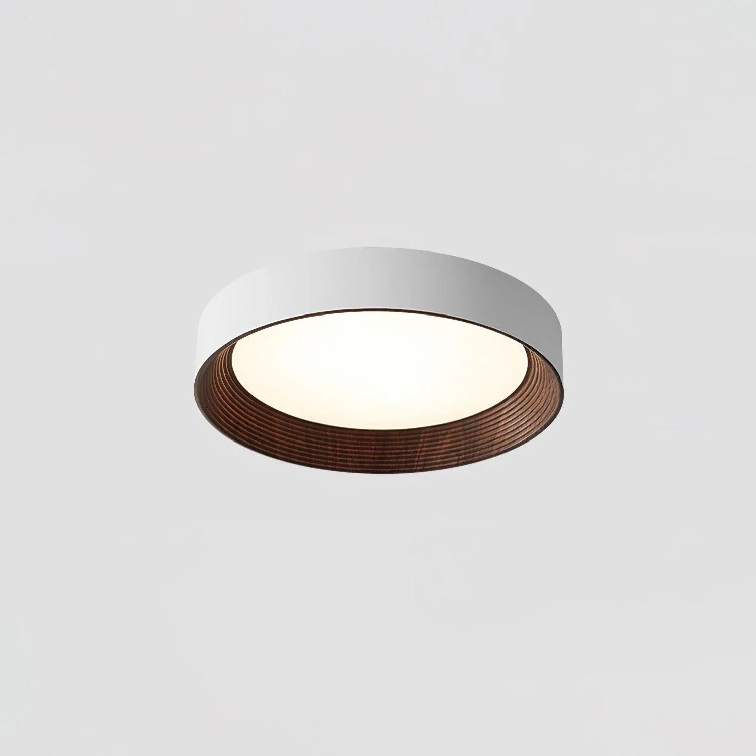 Lampada da Soffitto Circolare Acrilica di Tendenza