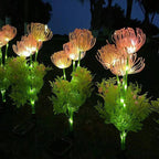 Fiori Fatati per Esterni