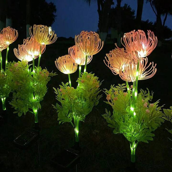 Fiori Fatati per Esterni