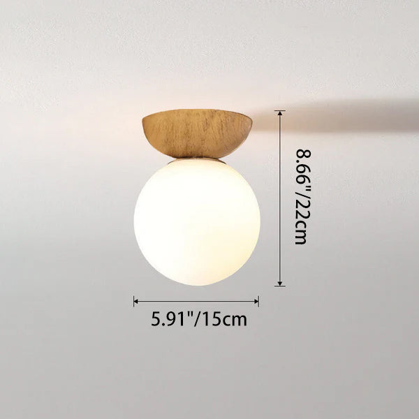 Lampada a Sospensione in Vetro e Ferro Minimalista Moderna con 1 Luce per Soggiorno