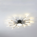 Wesley Modern Home Decoration Fireworks LED Ceiling Light