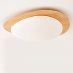 Lampada da soffitto a LED in ferro acrilico a forma di ciottolo scandinavo contemporaneo per camera da letto