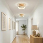 Lampada da soffitto rotonda moderna nordica