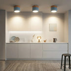 Lampada da soffitto LED cilindrica semplice nordica
