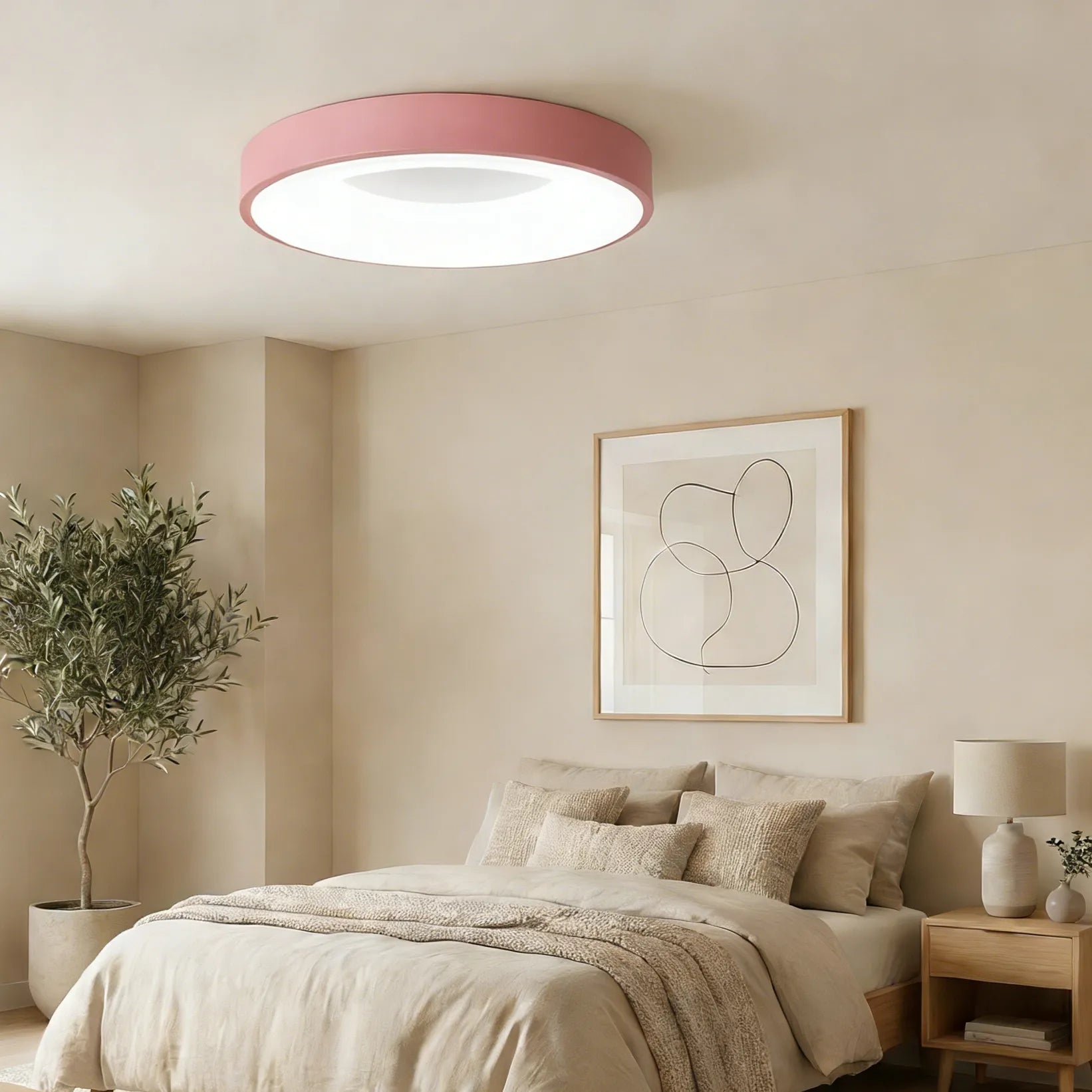 Lampada da soffitto moderna semplice e colorata