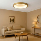 Lampada da soffitto moderna semplice e colorata