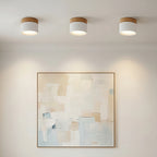 Lampada da soffitto LED cilindrica semplice nordica