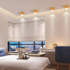 Faretto LED da soffitto cilindrico | Spotlight regolabile Design