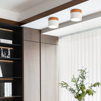 Lampada da soffitto LED cilindrica semplice nordica