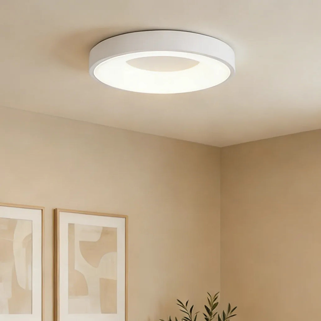 Lampada da soffitto moderna semplice e colorata