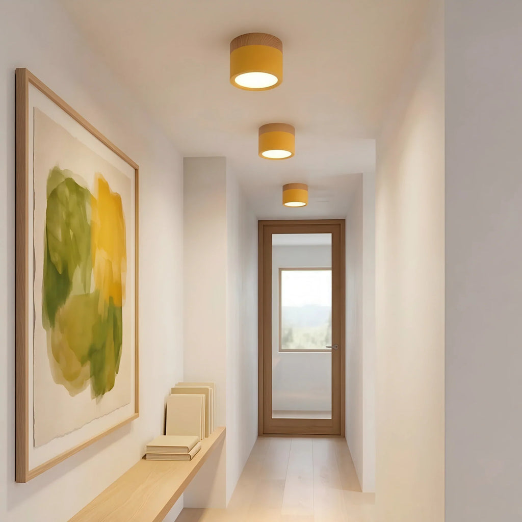 Lampada da soffitto LED cilindrica semplice nordica