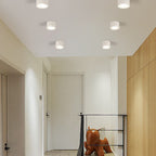 Faretto LED a Cilindro Nordic da Soffitto
