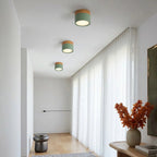 Lampada da soffitto LED cilindrica semplice nordica