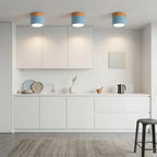 Lampada da soffitto LED cilindrica semplice nordica