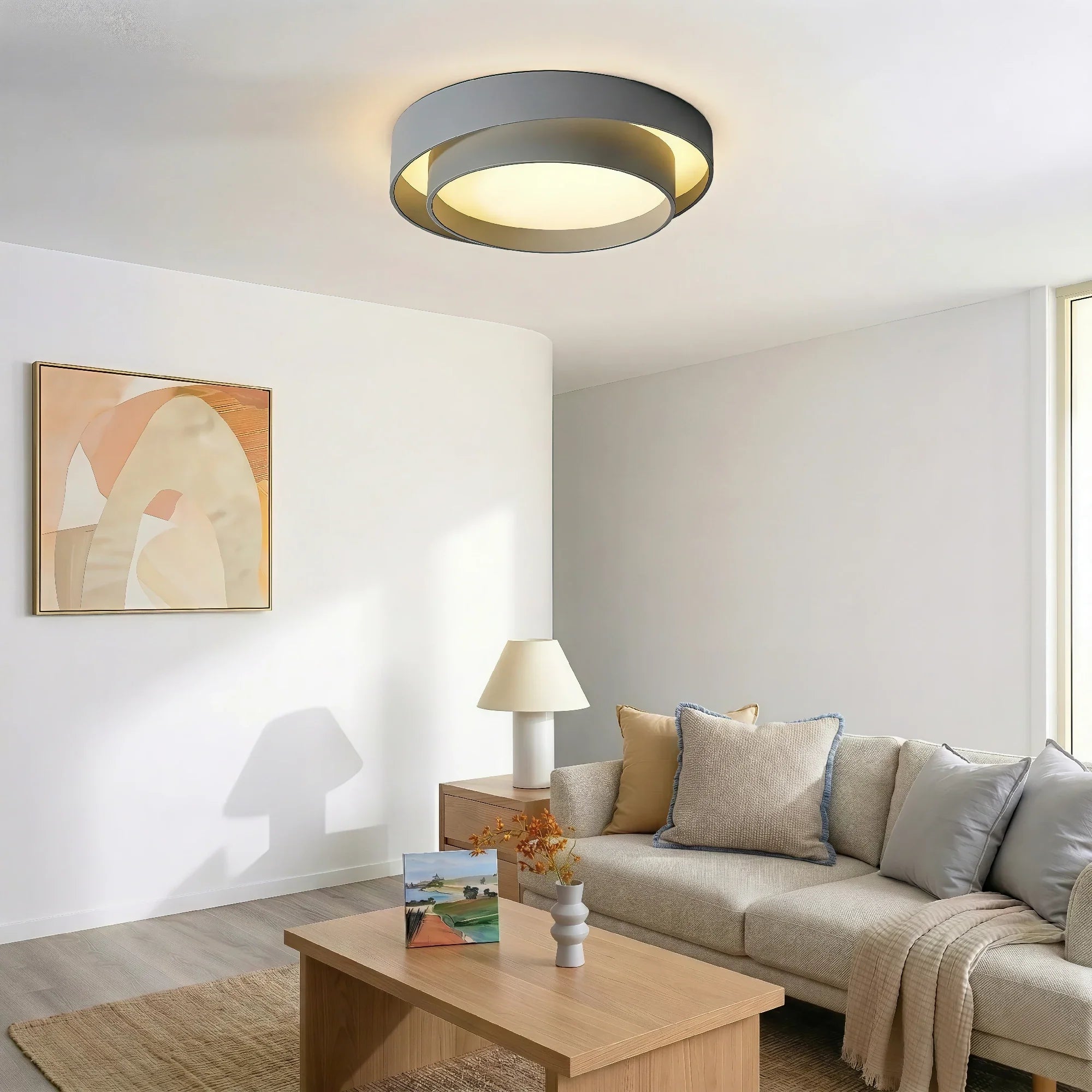 Moderna Luce da Soffitto Rotonda Doppia