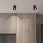 Moderna Lampada da Soffitto a Cilindro Minimalista in Alluminio LED con Angolo Regolabile per Soggiorno