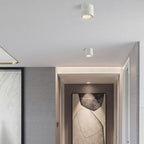 Moderna Lampada da Soffitto a Cilindro Minimalista in Alluminio LED con Angolo Regolabile per Soggiorno