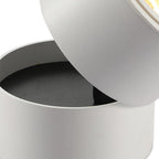 Moderna Lampada da Soffitto a Cilindro Minimalista in Alluminio LED con Angolo Regolabile per Soggiorno