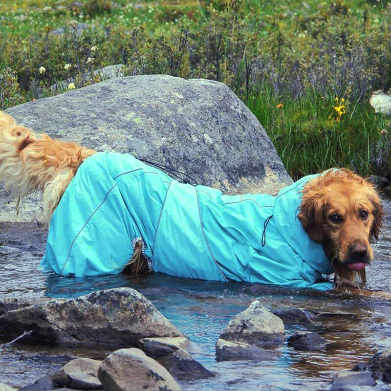 Cappotto Impermeabile per Cani – Giacca Outdoor Regolabile per Cani