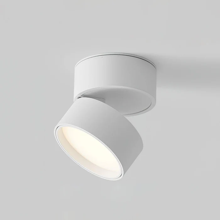 Lampada da soffitto rotante 360 regolabile