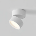 Lampada da soffitto rotante 360 regolabile