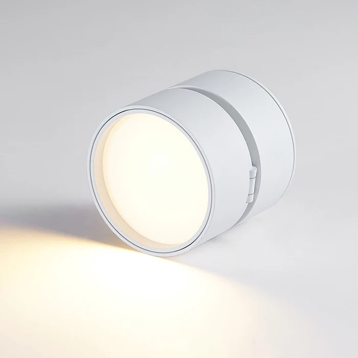 Lampada da soffitto rotante 360 regolabile