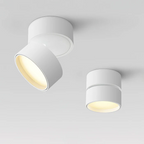 Lampada da soffitto rotante 360 regolabile