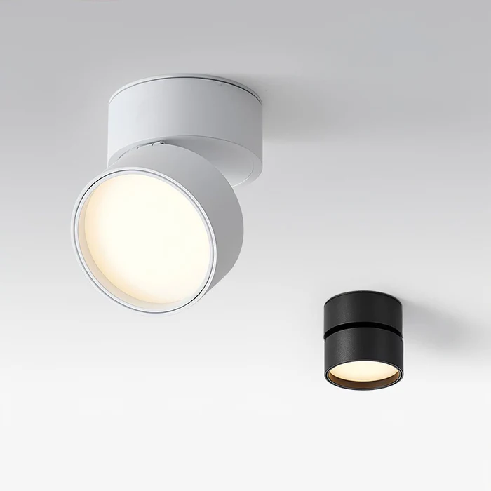 Lampada da soffitto rotante 360 regolabile