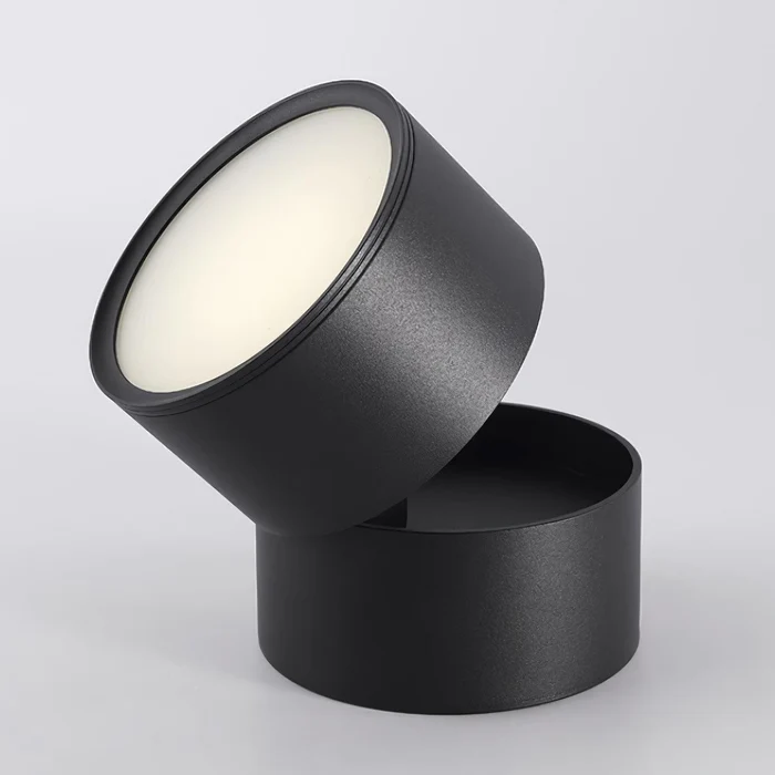 Lampada da soffitto rotante 360 regolabile