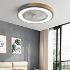 Ventilatori da soffitto in legno contemporanei con luci LED