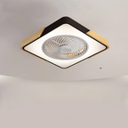 Ventilatori da soffitto in legno contemporanei con luci LED