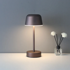 Lampada da Tavolo Moderna Semplice e Elegante in Metallo