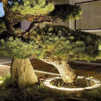 Faretto Elegante per Alberi da Esterno