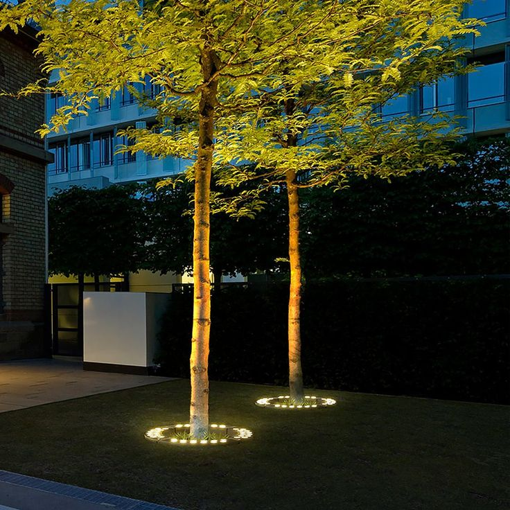 Faretto Elegante per Alberi da Esterno