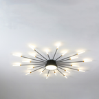 Wesley Modern Home Decoration Fireworks LED Ceiling Light